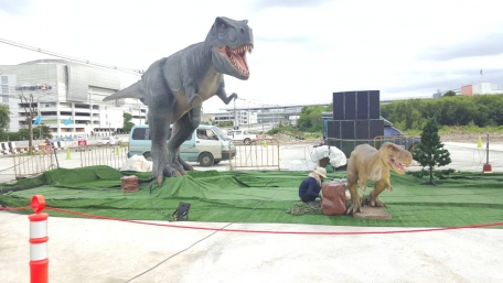 ขาย จำหน่าย ให้เช่า ไดโนเสาร์ Dinosaur T-rex,rapter,dino gate,baby dino