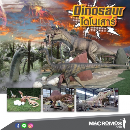 Info Dino 01